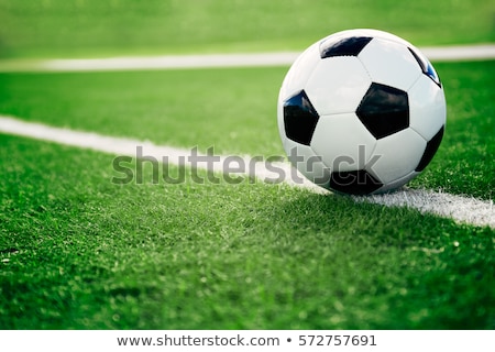 Foto stock: White Soccer Ball On Grass