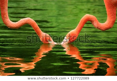 Foto stock: Attractive Couple Opposite The Mirror