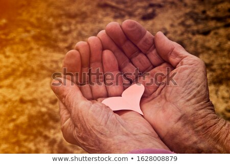 Stock fotó: Charity And Guardianship Concept - Hands With Heart