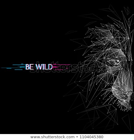 Stockfoto: Poly Wireframe Lion