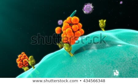 Stock photo: Cell Mediated Immunity