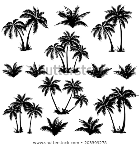 Сток-фото: Palm Forest Silhouettes