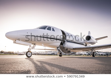 ストックフォト: Luxury Business Jet