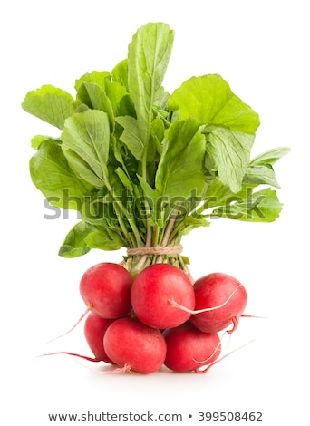 Stok fotoğraf: Fresh Red Radish Isolated On White