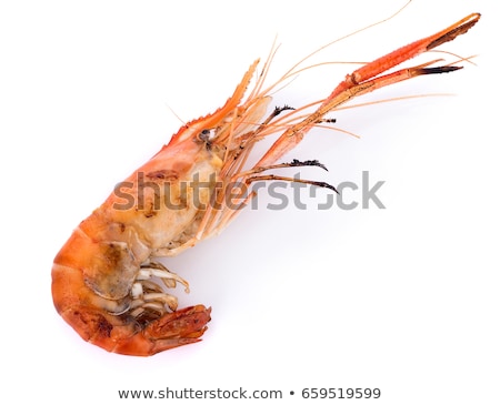 Foto d'archivio: Grilled Giant Prawns