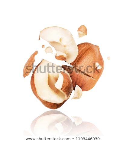 Stock photo: Cracked Hazelnut