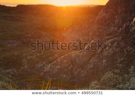 Foto stock: Beautiful Sunset Sunbeam Over Mossy Rocks And Meadow