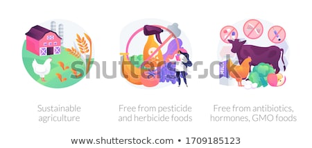 Stockfoto: Free From Antibiotics Hormones Gmo Foods Concept Vector Illustration