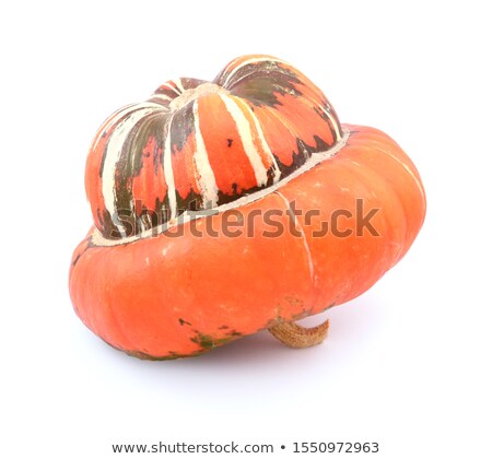 Сток-фото: Profile Of Turks Turban Gourd With A Smooth Orange Cap