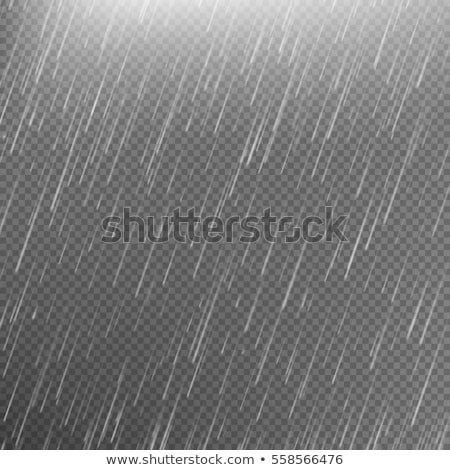 Сток-фото: Rain Drops On Transparent Background Falling Water Drops Nature Rainfall Vector Illustration