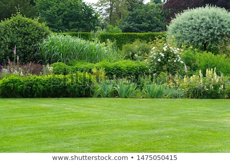 [[stock_photo]]: Flower Landscaping