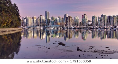 Foto stock: Vancouver Bc Skyline From Stanley Park During Blue Hour