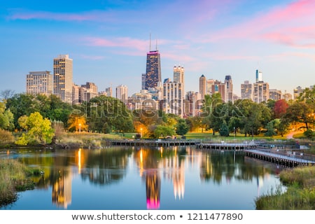 Stock foto: Downtown Chicago Il In The Evening