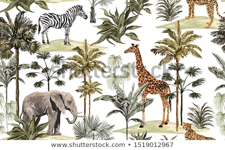 Foto stock: Vector Illustration Of An Elephant Travel Pattern