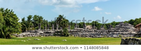 Stock fotó: Iguana On Mayan Ruins