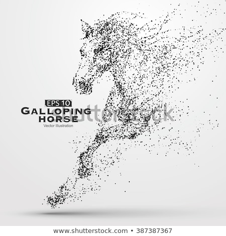 Stock foto: Galloping Horse