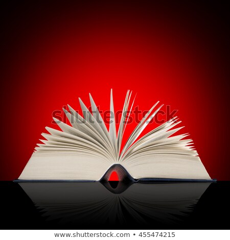 Stock photo: Big Open Book On Red Shaded Background