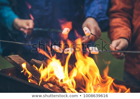 Сток-фото: Woman Roasting Marshmallow Over Campfire