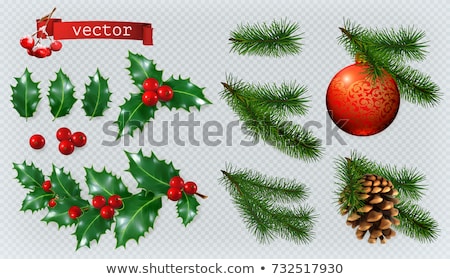 Stock foto: Pine Cones Of Cedar Spruce Fir Christmas Tree