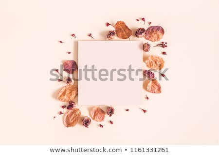 [[stock_photo]]: Autumn Fall Concept