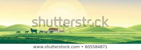 Foto d'archivio: Rural Landscape With Cows In Meadow Farm Milk