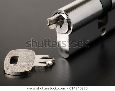 Stock foto: Pin Tumbler Of Cylinder Lock With Broken Key