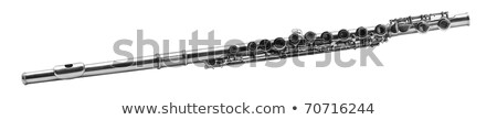 Stock fotó: Bass Flute Isolated On White