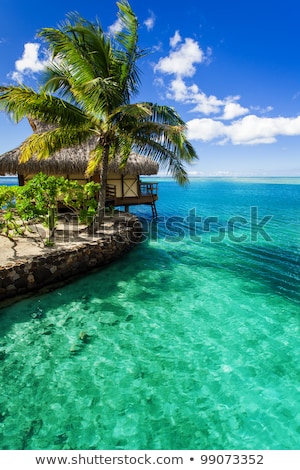 Foto d'archivio: Tropical Villa And Palm Tree Next To Green Lagoon