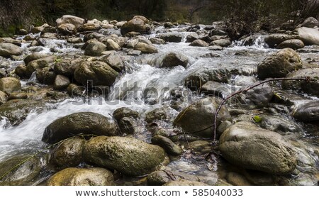 Stock photo: Mountain River Rapids In Autumn