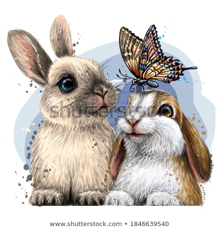 [[stock_photo]]: Two Little Hares