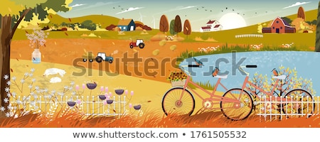 Foto stock: Bicycle With Birds And Flowers Vector