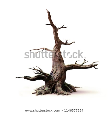 Stock photo: Old Tree