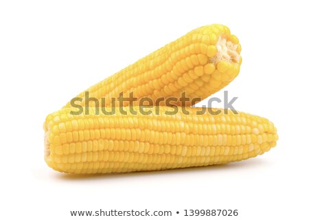 ストックフォト: Boiled Sweet Corn