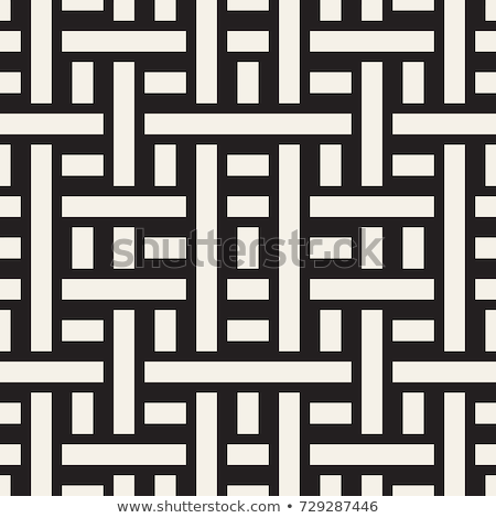 Zdjęcia stock: Interlaced Lines Celtic Ethnic Ornament Vector Seamless Black And White Pattern