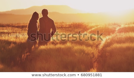 Stok fotoğraf: Silhouette Of Wedding Couple In Field