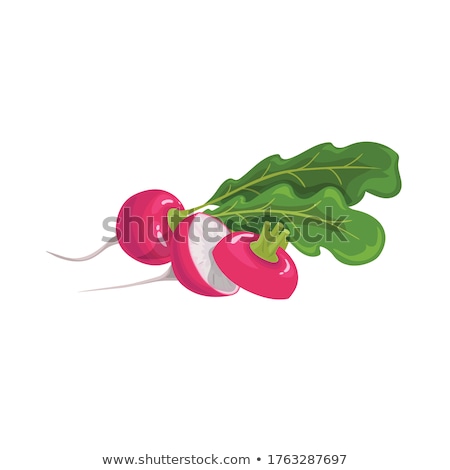 Stockfoto: Bunch Of Radish