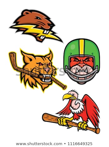 商業照片: North American Wildlife Sports Mascot Collection