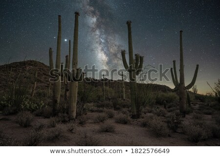 Сток-фото: Starry Night Over The Arizona Desert