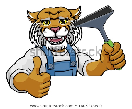 Foto stock: Wildcat Car Or Window Cleaner Holding Squeegee