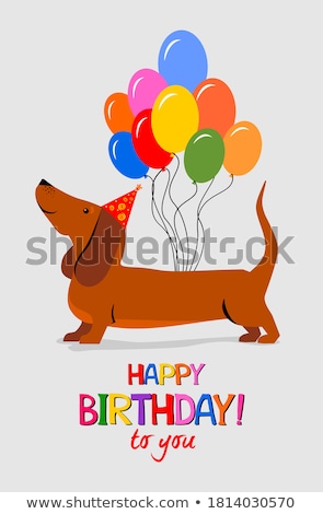 Сток-фото: A Cute Dachshund Puppy With Colorful Balloons