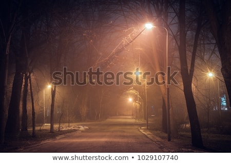Stok fotoğraf: Foggy Nightly Kiev