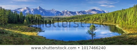 Stok fotoğraf: Beautiful Mountain Landscape With Lake And Forest