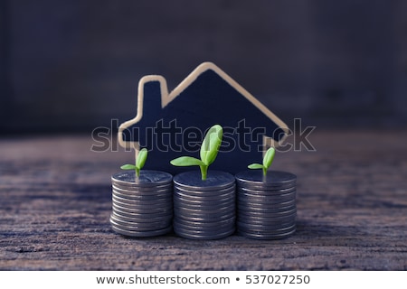 Stock foto: Invest In Real Estate Concept