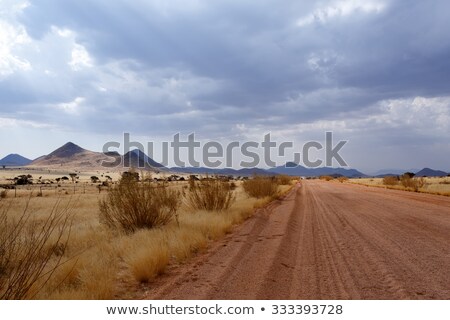 Panorama Of Fantrastic Namibia Moonscape Landscape Zdjęcia stock © Artush