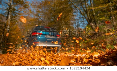 Сток-фото: Close Up Of Car Wheel And Autumn Leaves
