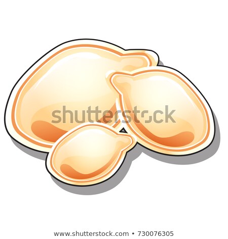 Stock fotó: Bunch Of Several Pumpkin Seeds Isolated On White Background Vector Close Up Cartoon Illustration