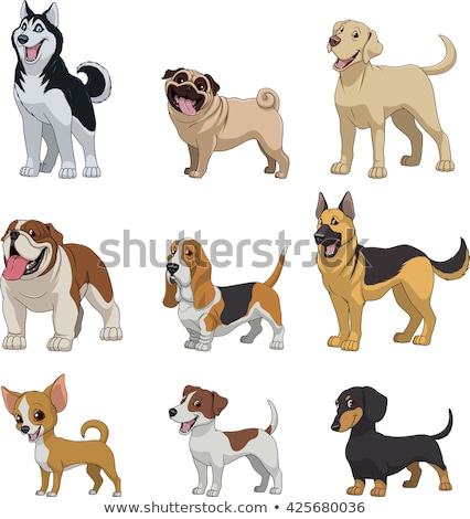 Foto d'archivio: Purebred Cartoon Dog Characters Set