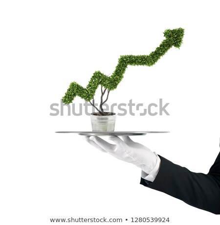 Stock fotó: Waiter That Holds A Tray With A Plant Shaped As Statistic Arrow Concept Business Success