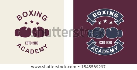 Foto stock: Color Vintage Boxing Club Banner