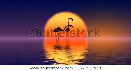 Foto stock: Elegant Couple Posing In A Tropical Paradise